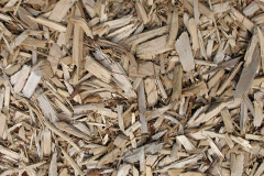 biomass boilers Bedwas